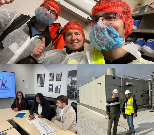 Collage of TEI employees working