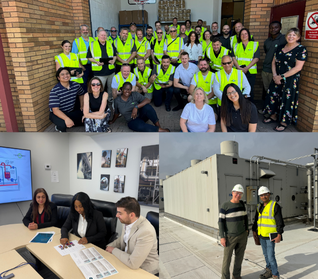 Collage of TEI employees working