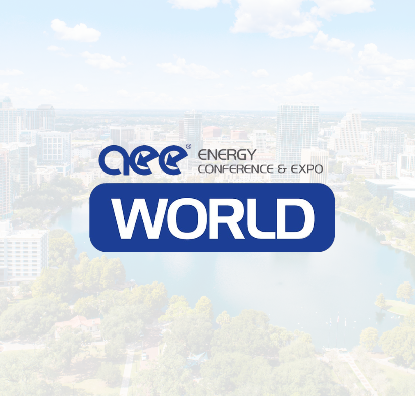 AEE World (1)