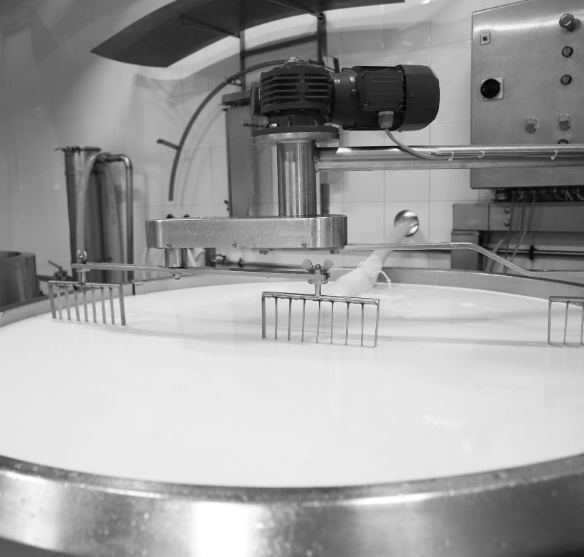 D01 Major Dairy Producer