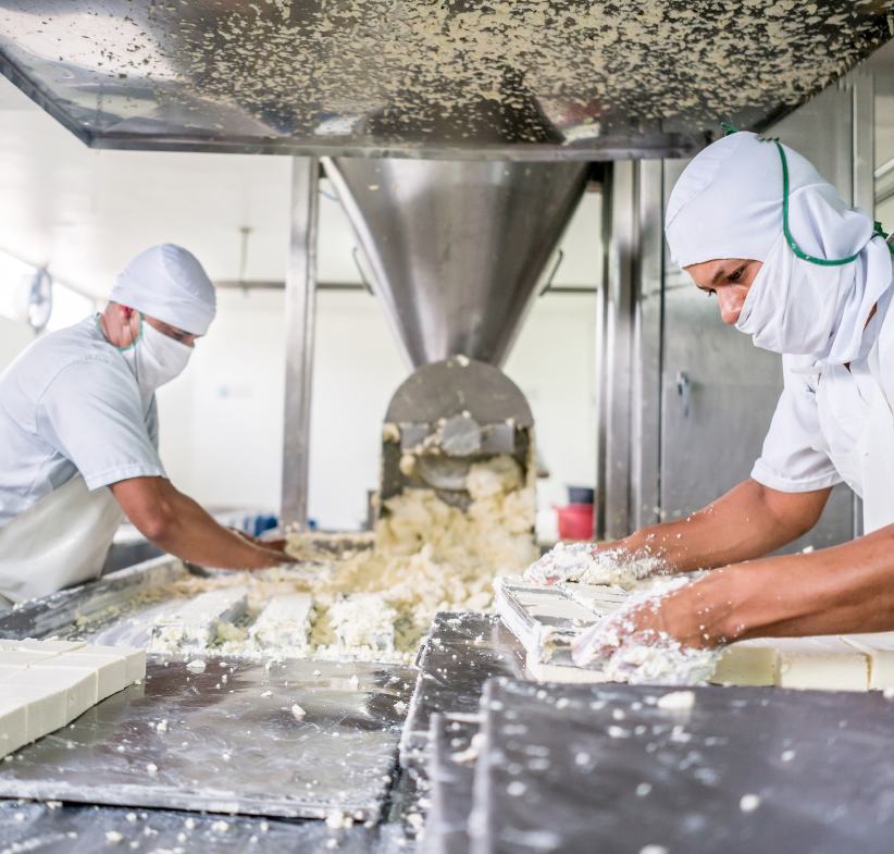 Dairy factory workers inspecting products for quality assurance