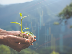 The Rise of Sustainable Investing image