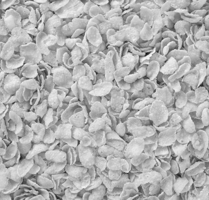 CGR03 Major Breakfast Foods Producer