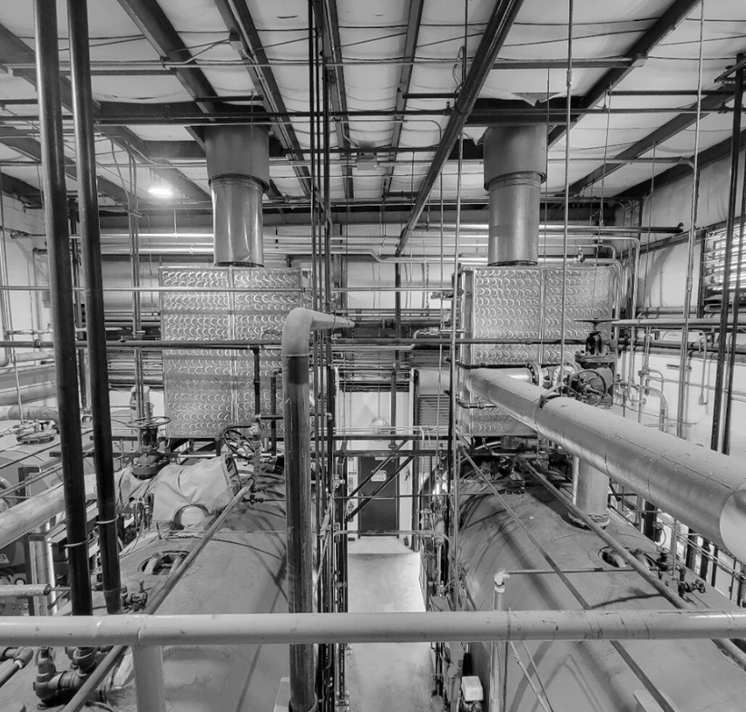 D04 Global Nutrition Provider