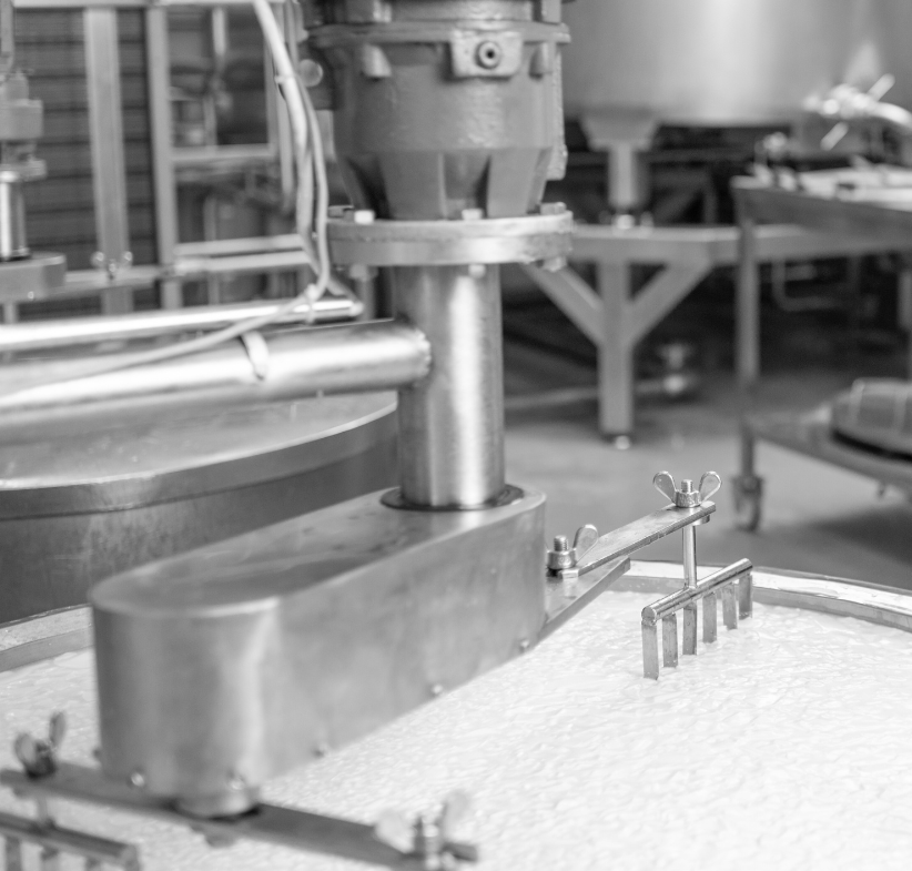 Dairy Processing in factory 