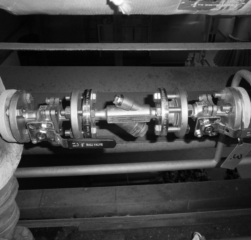 GEM steam traps installed at leading Polish meat company