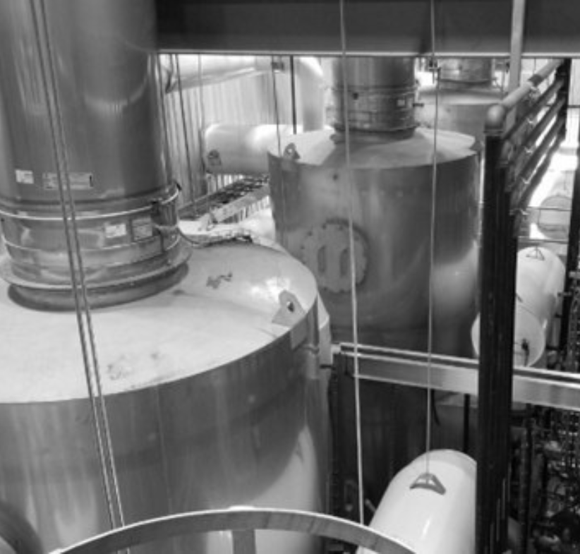 M04 Leading Chicken Processor