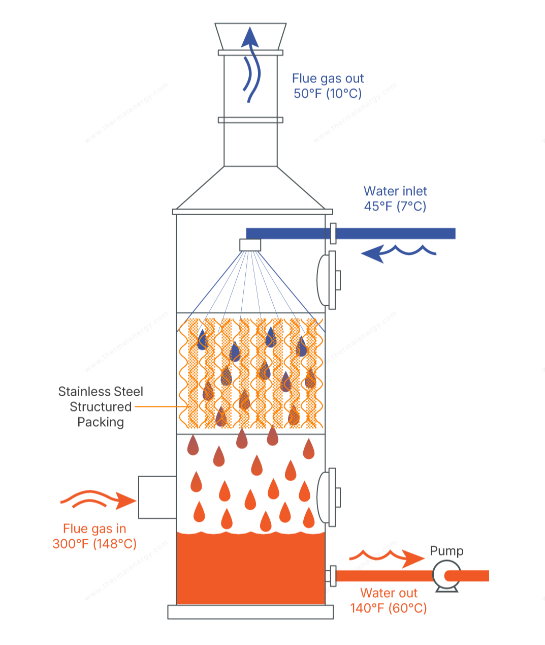 FLU-ACE Diagram - Watermarked 2025 Logo Open Only-1
