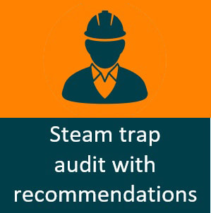 TEI Trap Audit - Steam Trap Survey