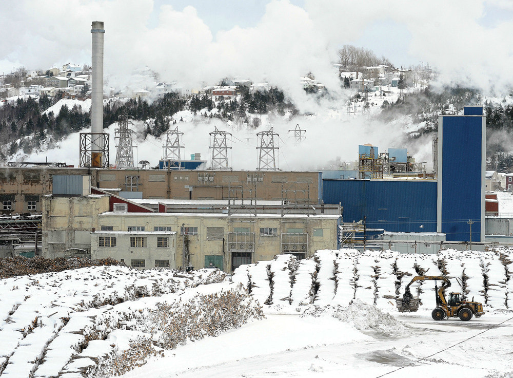 Thermal Energy's products are proven in the pulp and paper industry.